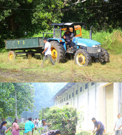 අතහැර දමා තිබූ වී ගබඩා ශ්‍රමදානයෙන් යථා තත්ත්වයට 